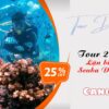 Tour 2 đảo Nha Trang
